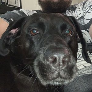 Meet your Posher, Derick